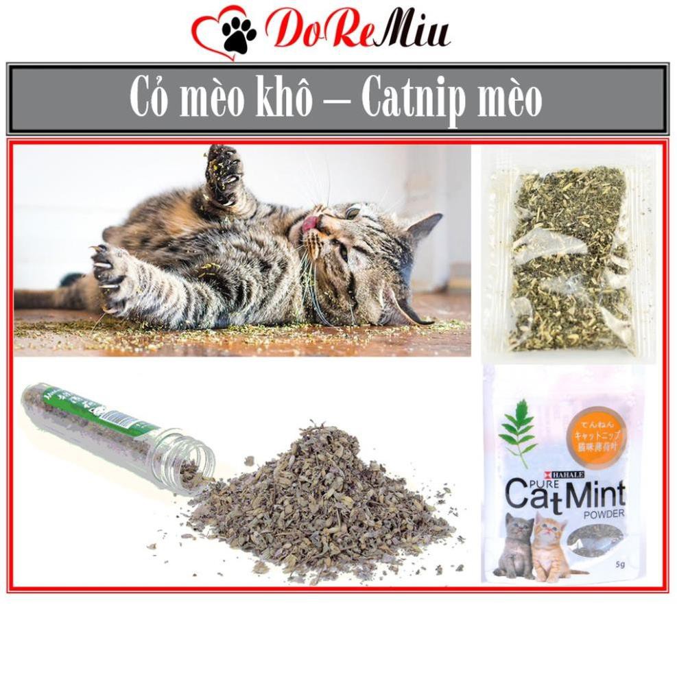 Giảm giáCTVD- Cỏ mèo khô (3 loại) Cho mèo chơi cỏ catnip phê pha