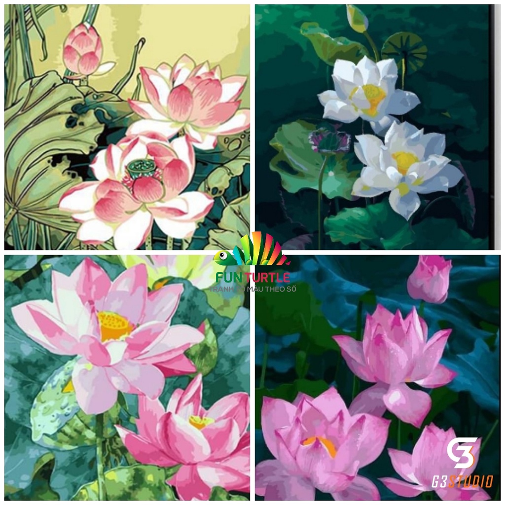 Tranh tô màu theo số 🎨CHUẨN MÀU🎨 Hoa sen lotus