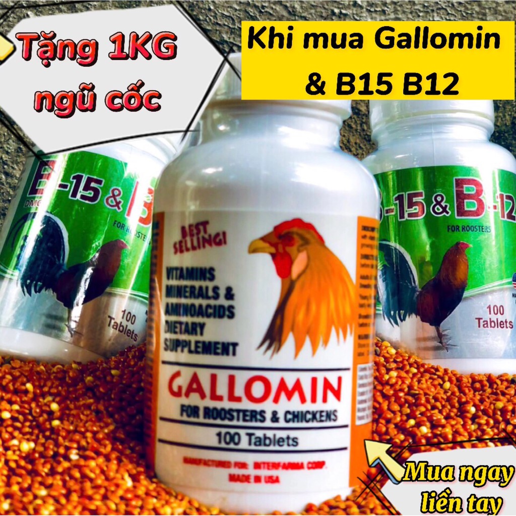 B15 & B12 thuốc nuôi gà đá , dinh dưỡng chiến kê