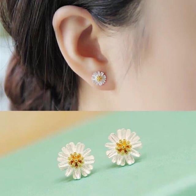 Bông tai cúc hoạ mi bạc ta