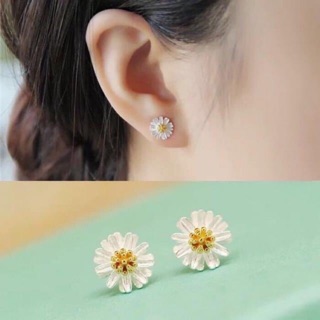 Bông tai cúc hoạ mi bạc ta