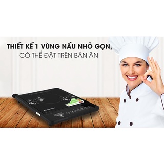 Bếp điện từ Kangaroo KG15IC1