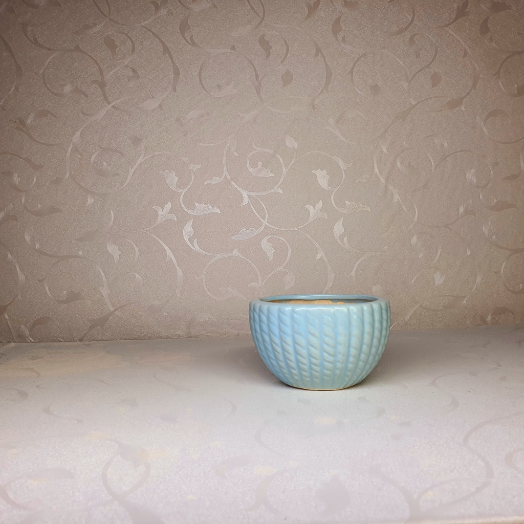 Chậu trồng cây cảnh , sen đá , xương rồng - Kiểu vành tròn -   và