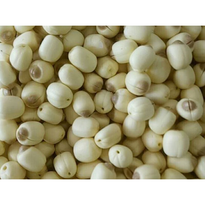 500gr  hạt sen Huế khô loại 1
