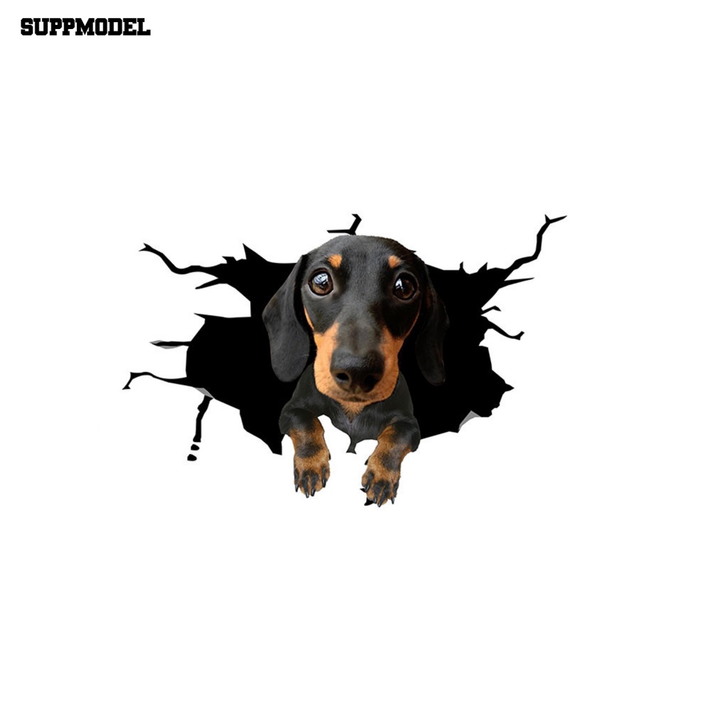 Miếng Dán Vinyl Hình Động Vật 3D Dễ Lên Màu Trang Trí Xe Hơi