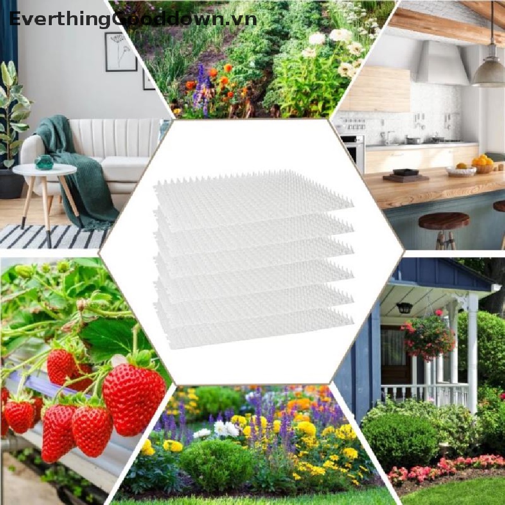 Everthinggood Tấm Thảm Lưới Chống Mèo Đi Dạo Ngoài Trời Bảo Vệ Cây Trồng
