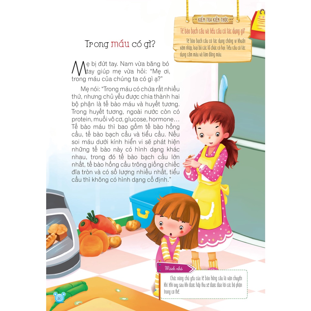 Sách - Hỏi gì cũng biết - Sự kỳ diệu của cơ thể người