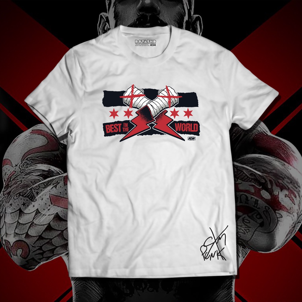 Áo thun UNISEX cổ tròn HDVERSE CM Punk Tee WWE vải cotton thoáng mát, form cổ điển