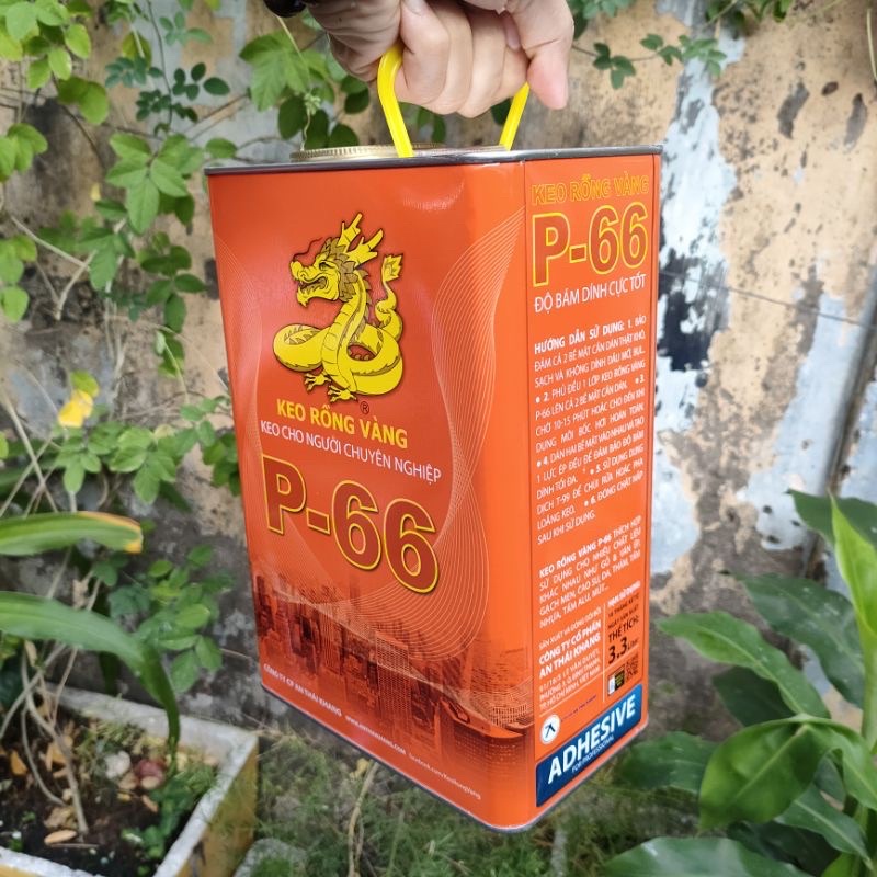 Keo Rồng Vàng Dán Da Dán Giày Simili Dán Gỗ Ván Ép Thảm Đa Năng P66 Rồng Vàng 3kg