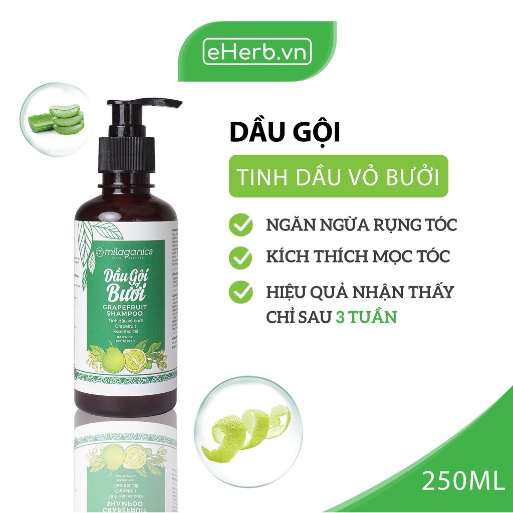 Dầu Gội Bưởi Kích Thích Mọc Tóc & Làm Sạch Da Đầu Từ Tinh Dầu Bưởi Nguyên Chất MILAGANICS 250ml (Chai)