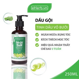 Dầu Gội Mọc Tóc Từ Tinh Dầu Bưởi Thiên Nhiên, Hiệu Quả Nhận Thấy Sau 3 Tuần MILAGANICS 250ml (Chai)