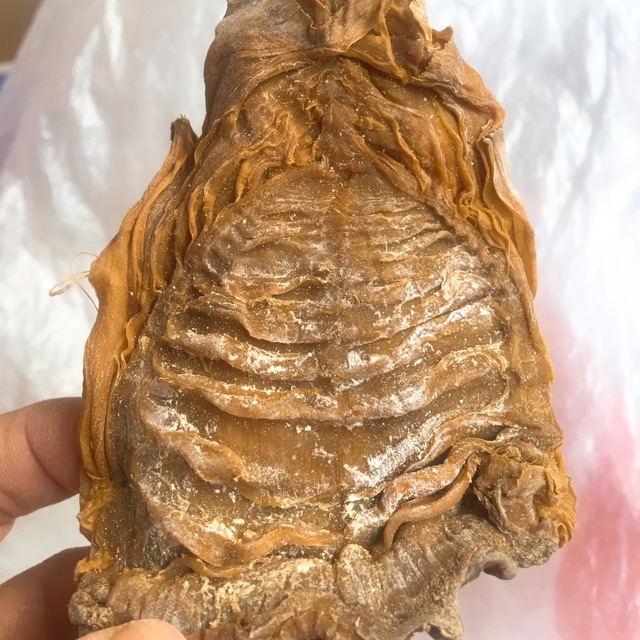 Măng lá mầm
