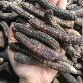 Chuối hột rừng Bình Thuận 1kg