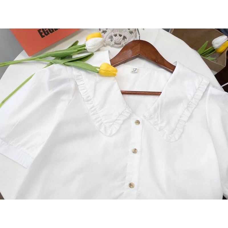 Áo sơ mi trắng ngắn tay cổ bèo tim cổ Hàn Quốc