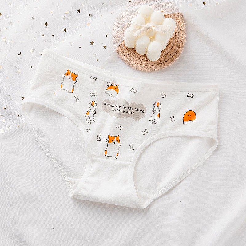 Set 5 quần lót nữ cotton dễ thương họa tiết mèo Go out_NuciFera