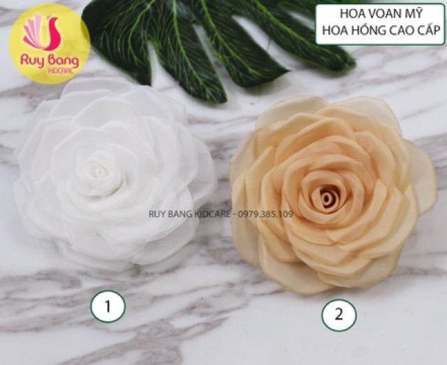 Hoa voan mỹ - hoa hồng cao cấp