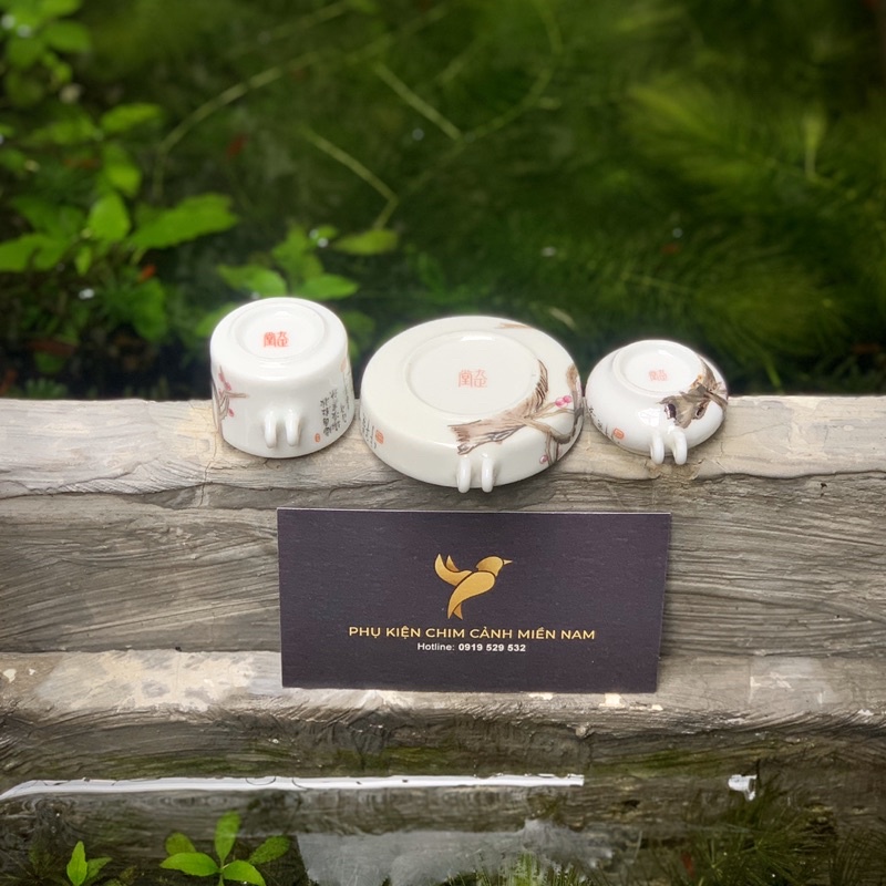 Cóng chim vẽ tay HOA - Cửu Chính Đường