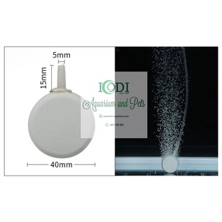 Đĩa sủi oxy cho bể cá cảnh - bể thủy sinh
