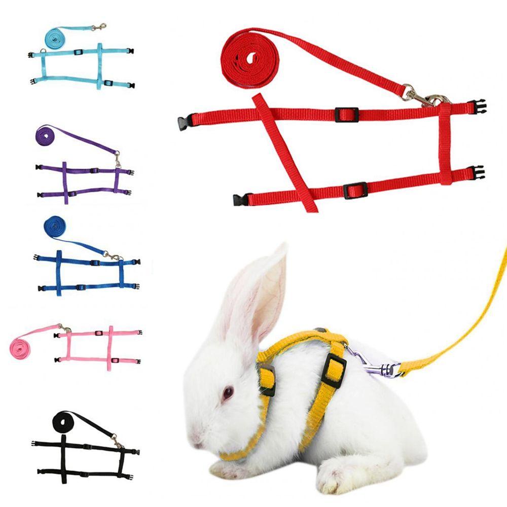 1 Dây Dắt Thỏ Đi Dạo Mềm Mại