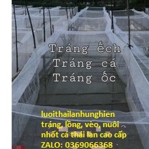Lồng Buông cá Ốc, Ếch  5 x 4 x 2 có vanh 20cm Cá Từ Nhỏ Tới To Lưới Thái Lan Chuyên cung cấp tráng nuôi ốc ,ếch,cá vvv s