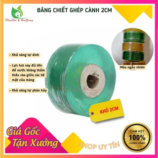 Băng keo ghép cành, chiết cành tự dính tự hủy