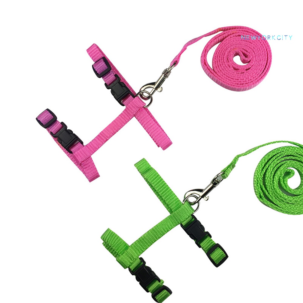 Dây Dắt Thú Cưng Đi Dạo An Toàn