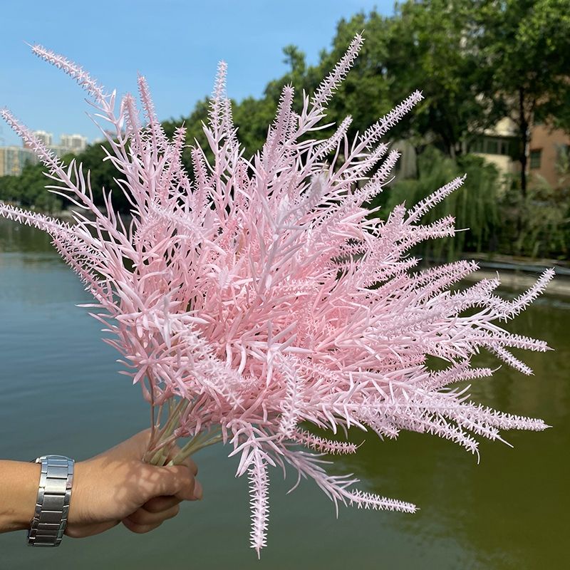 Cành điểm đuôi chồn cao 55cm