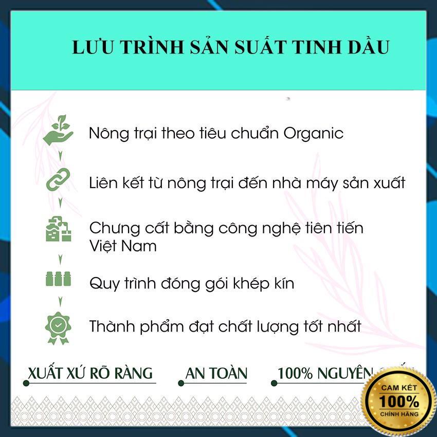 Tinh Dầu Thơm Phòng Thiên Nhiên Nguyên Chất Thiên Hương 100ml, Có Kiểm Định Quatest Đuổi Muỗi Khử Mùi Phòng