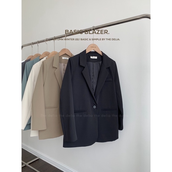 263 - BLAZER MỘT CÚC