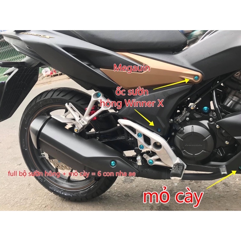 Bộ Ốc Titan Gắn Sườn Hông Mỏ Cày Winner/Winner X