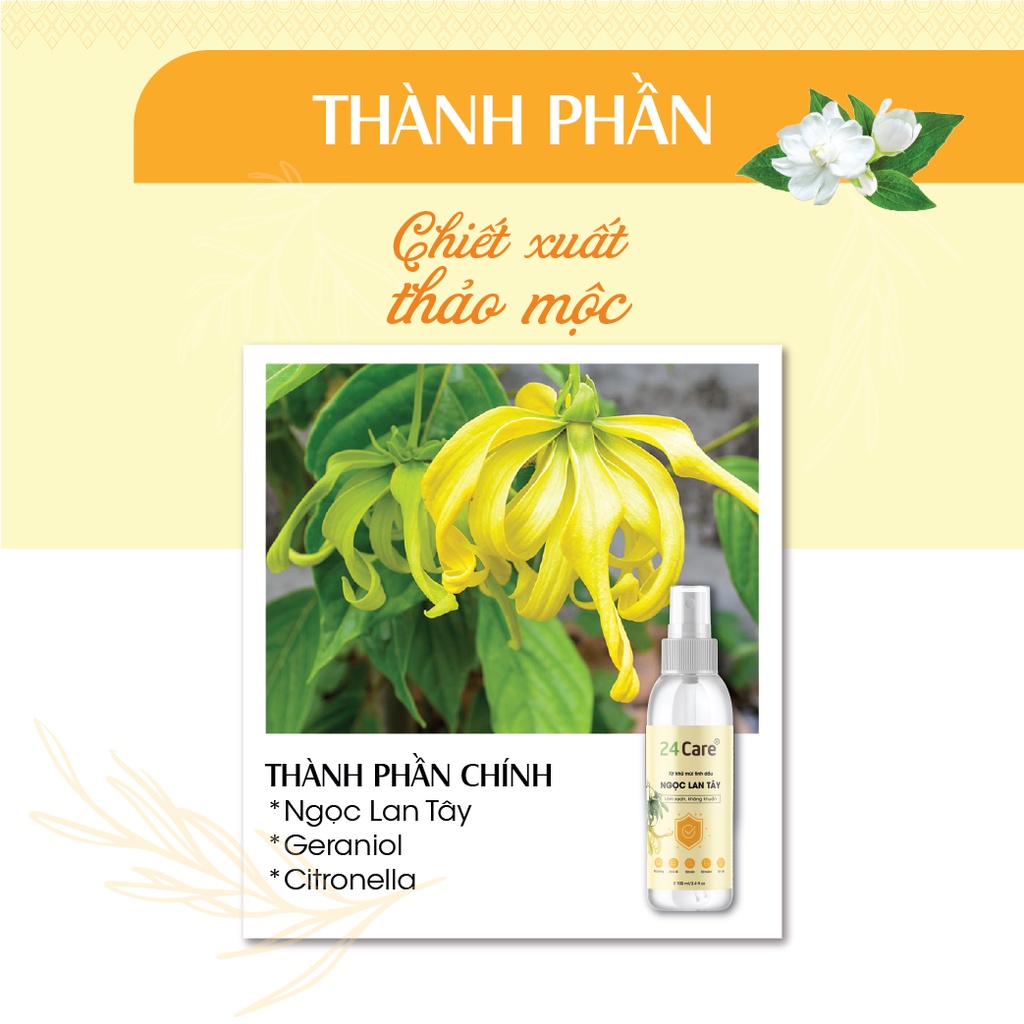 Combo 3 xịt khử mùi thơm phòng Sả Chanh + Ngọc Lan Tây + Oải Hương 24Care 50ml/chai