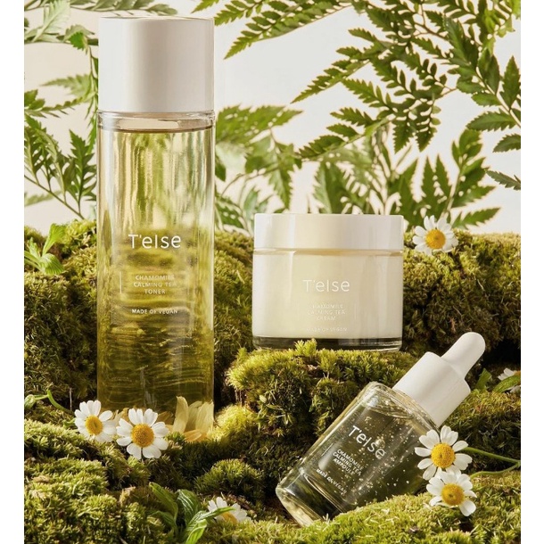 Dòng dưỡng hoa cúc thuần chay TELSE CHAMOMILE CALMING TEA