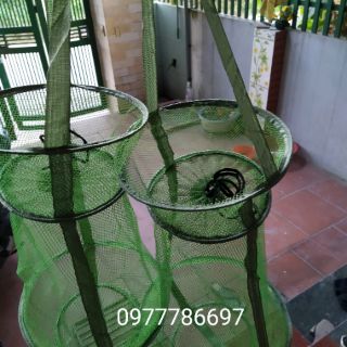 Giỏ đựng cá màu xanh bộ đội