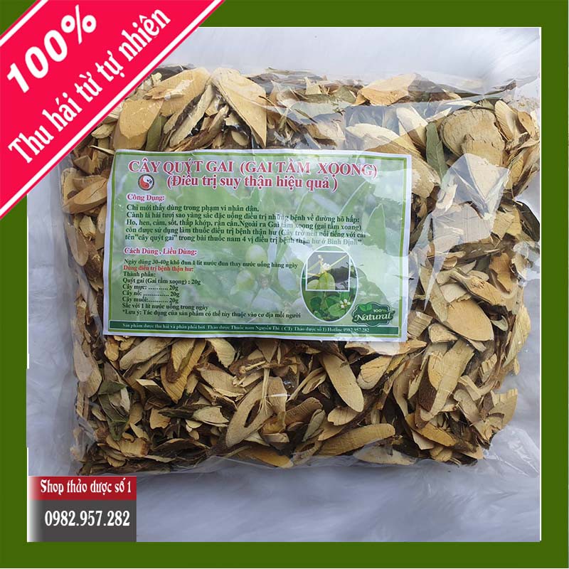 Cây Quýt Gai, tầm xoọng điều trị bệnh suy thận Cực Hay - 1KG SP Của Cty Thảo Dược Số 1