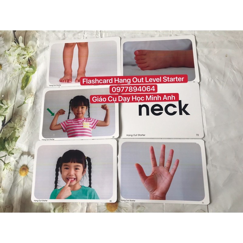 Flashcard  Tiếng Anh Hang Out Level Stater