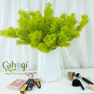 Cây Giả - Cành Rong La Hán