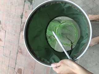 Rọng đựng cá nhiều sz