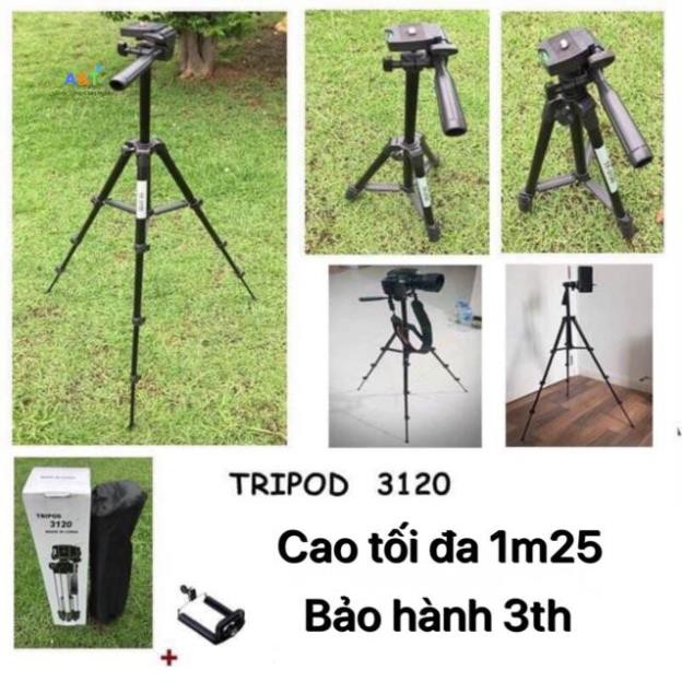 GẬY TRIPOD 3120 LOẠI XỊN HÀNG- CHÍNH HÃNG-FREESHIP