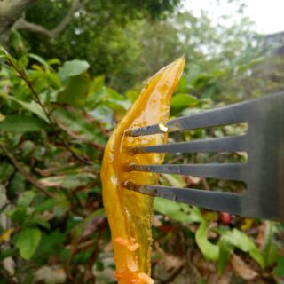 Mứt xoài dẻo