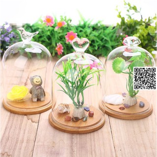 Mô hình khung trưng bày 978