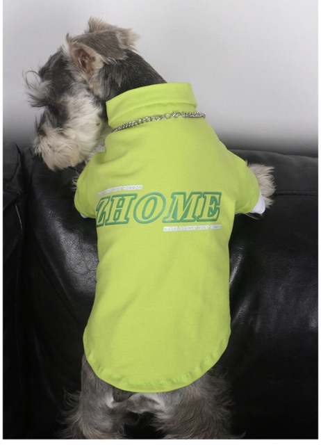 ÁO THUN COOL NGẦU - CAO CẤP CHO CHÓ MÈO