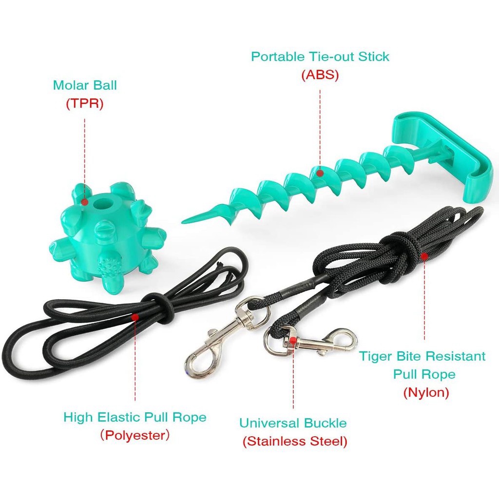 Luyện Răng Thú Cưng Khoẻ và Sạch Pin Dog Leash - Dog Molar Bite Toys