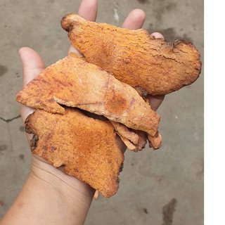 💥 THỔ PHỤC LINH ( KHÚC KHẮC)