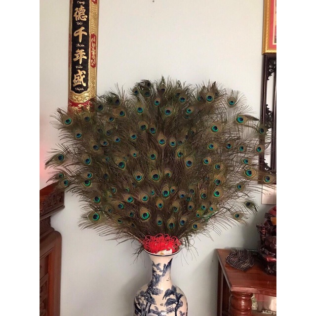 Lông công 80-90cm tự nhiên sale mạnh | BigBuy360 - bigbuy360.vn