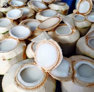 SÉT LÀM THẠCH DỪA