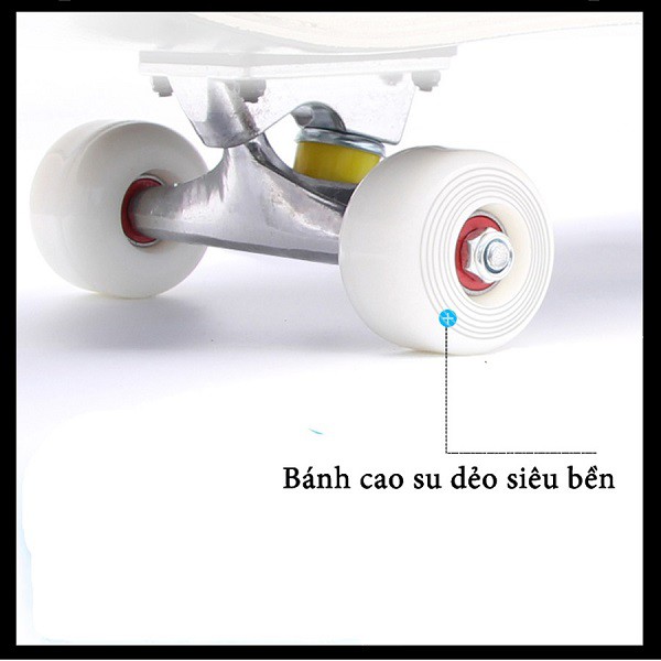 Ván Trượt Mặt Nhám Cỡ Lớn Đạt Chuẩn Thi Đấu Dòng Cao Cấp Trục Kim Loại To Chịu Lực 200kg