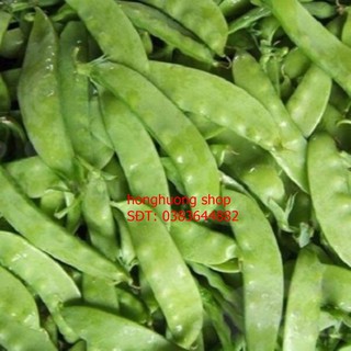 Hạt giống đậu Hà Lan lấy trái gói 20 gam