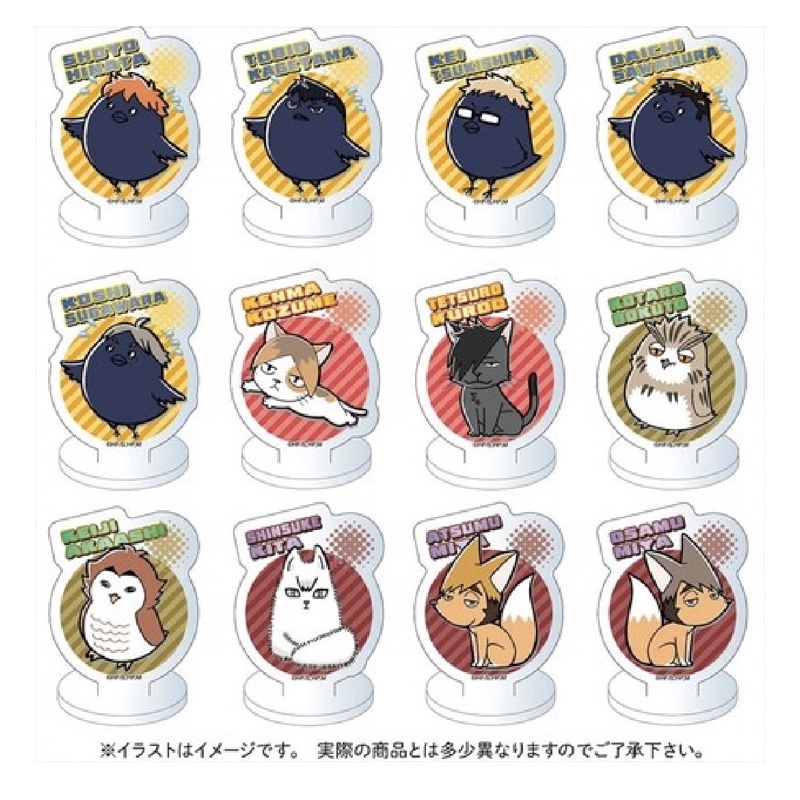 Pack Random standee Haikyuu!!