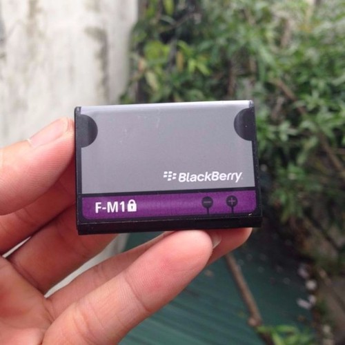 Pin điện thoại Blackberry 9100 F-M1