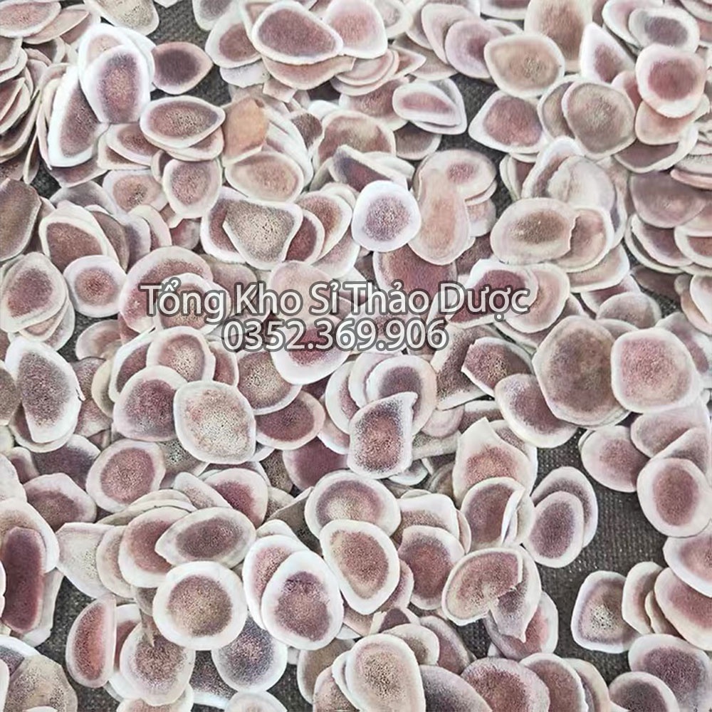 Lộc giác 1kg